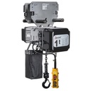 Delta DMY Elektrische Kettingtakel 230V, met duwloopkat 01